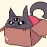 box_nari