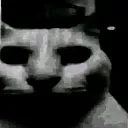 LH_dark_wtf