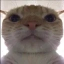 stare stare