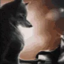 lonewolf