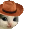 Meowdy