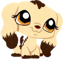 lps_spaniel