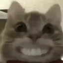smilecat