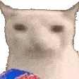 veryCat