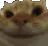 yes