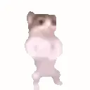 catgangnam
