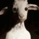 hannahsgoat