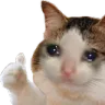 Sad Cat Thumbs Up sadcatthumbsup Discord Emoji