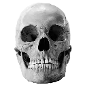 4Kskull