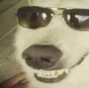 Dogevil Discord Emoji