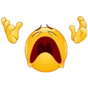 WHYYYYY WHYYYYY