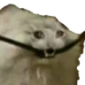catcable