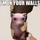 Im_INYOURWALL