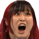 IyoSky Discord emoji