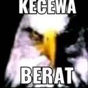 kecewa_berat