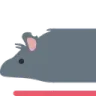 rat1 rat1