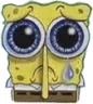 sadsponk