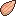 Fence_seed