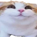 ketsmug