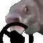 OOOOSteer OOOOSteer