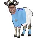 goatdri