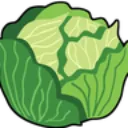 cabbage
