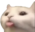 cattongue