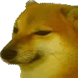 bonk