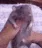 emoji_248