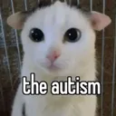 thecar thecar