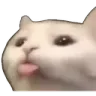 sillycat