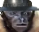 gibbonclericfotorbgremover202306 Discord Emoji