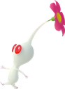 6_Pikmin_Blanc