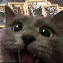 Excitedcat Discord Emoji