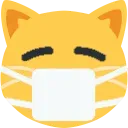 Masked_Cat Discord Emoji