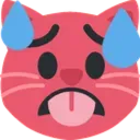 Sweating_Cat Discord Emoji