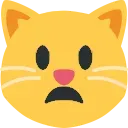 Frowning_Cat Discord Emoji
