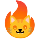 Burning_Cat