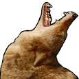 awoo