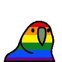Pride_Parrot