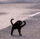 cursedcat2