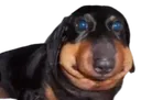 ermm
