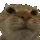 no