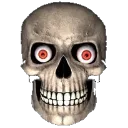 bro