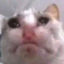 cat_suicidal Discord emoji