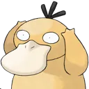 psyduck