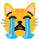 12sob_cat
