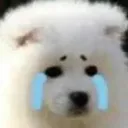 emoji_49