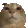 Stare Stare