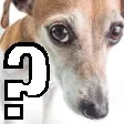questionmark
